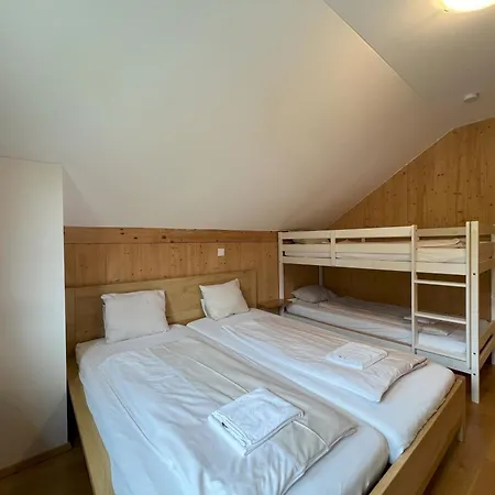 Am Loser Chalet Ramsau am Dachstein